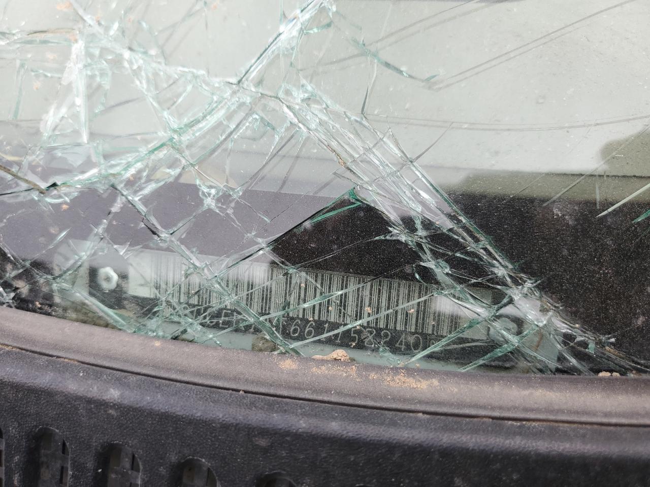 2006 Chevrolet Silverado K1500 VIN: 2GCEK13T661158240 Lot: 90275545