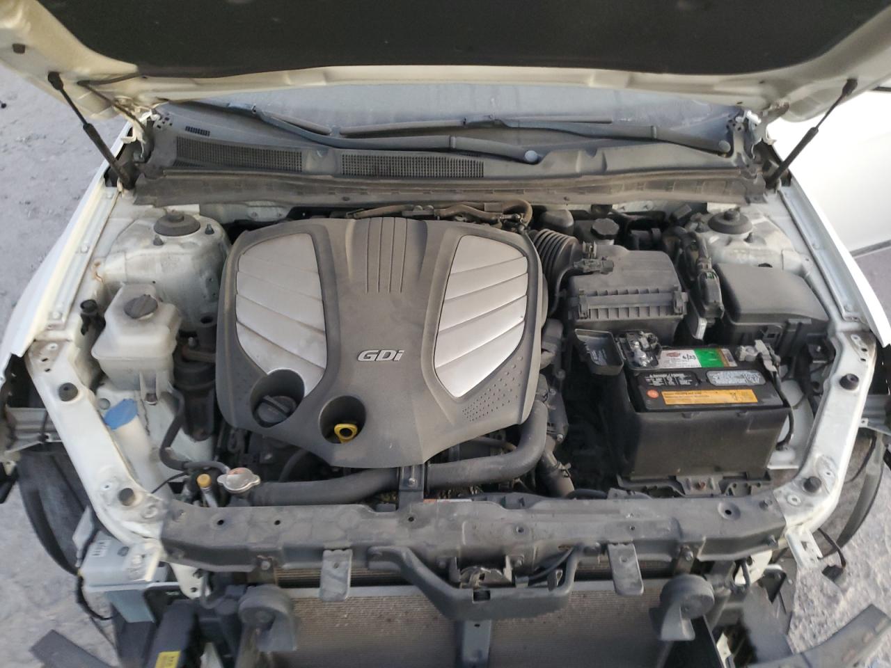 2014 Kia Cadenza Premium VIN: KNALN4D76E5133382 Lot: 91246445