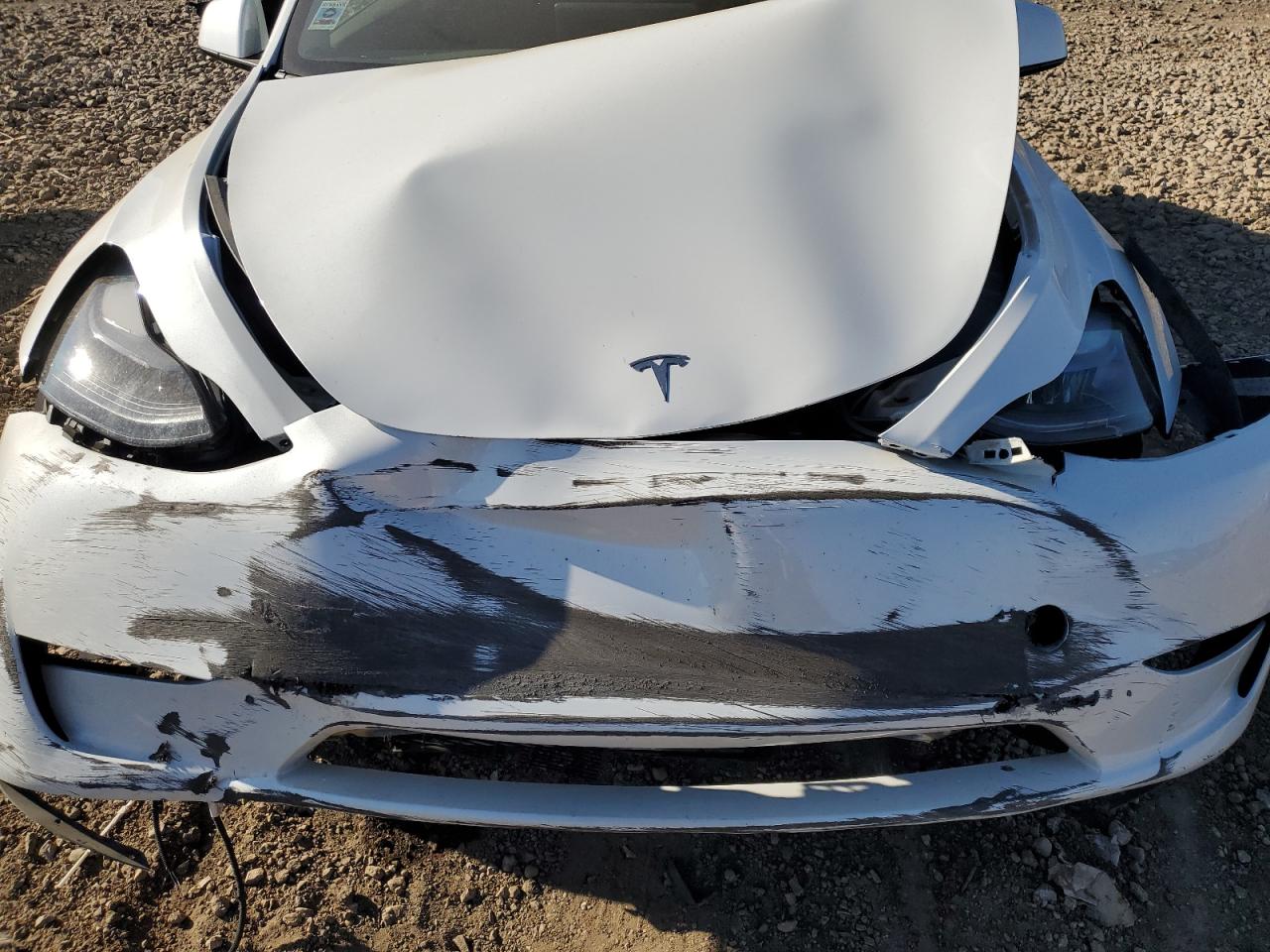 2023 Tesla Model Y VIN: 7SAYGDEE8PF809223 Lot: 85403895