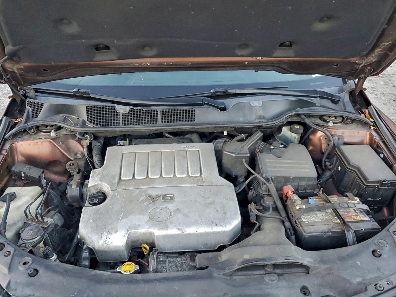 2009 Toyota Venza VIN: 4T3BK11A69U019841 Lot: 94224135