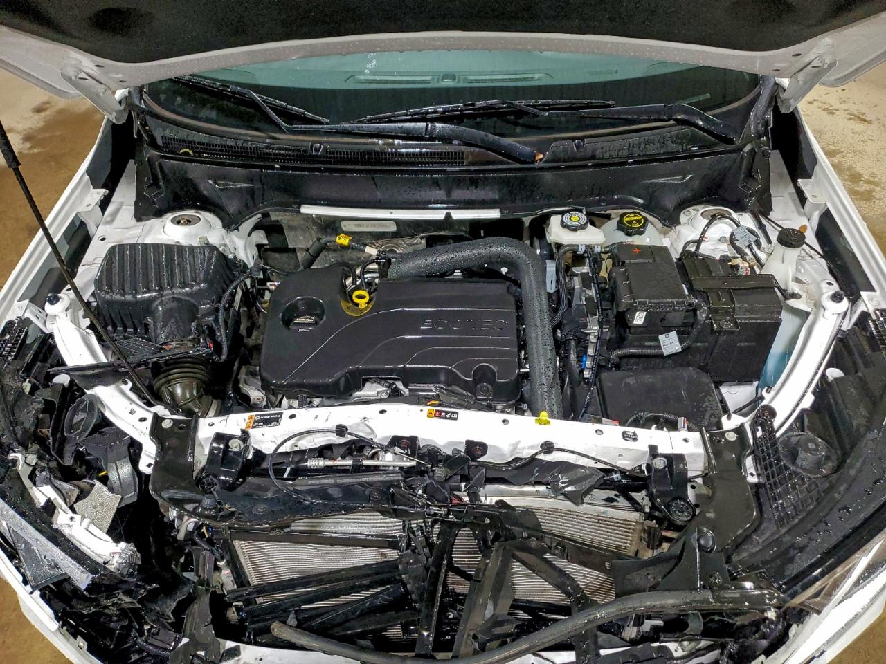 2024 GMC Terrain Sle VIN: 3GKALMEG2RL359461 Lot: 94084045