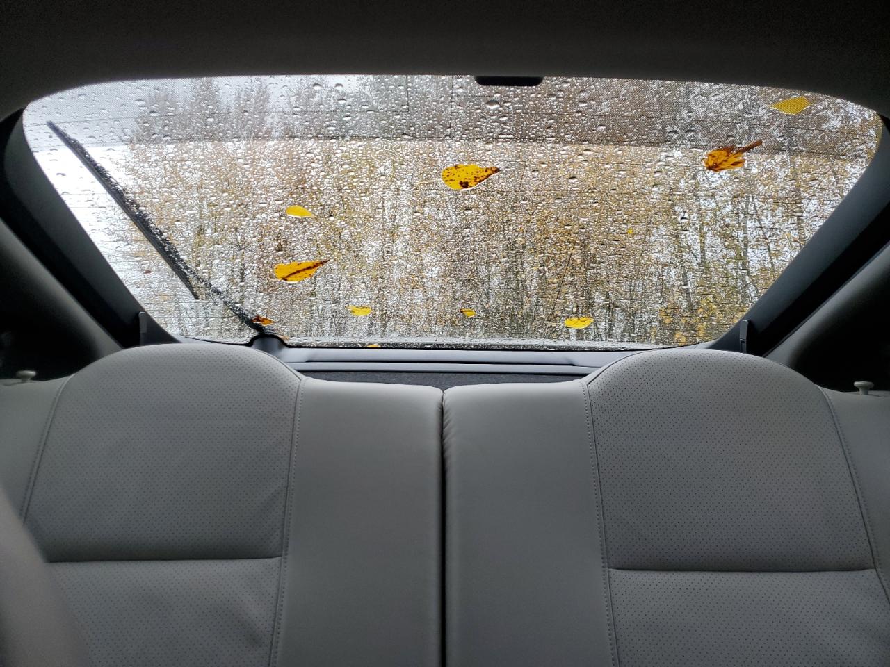 2002 Acura Rsx VIN: JH4DC548X2C003137 Lot: 91311175