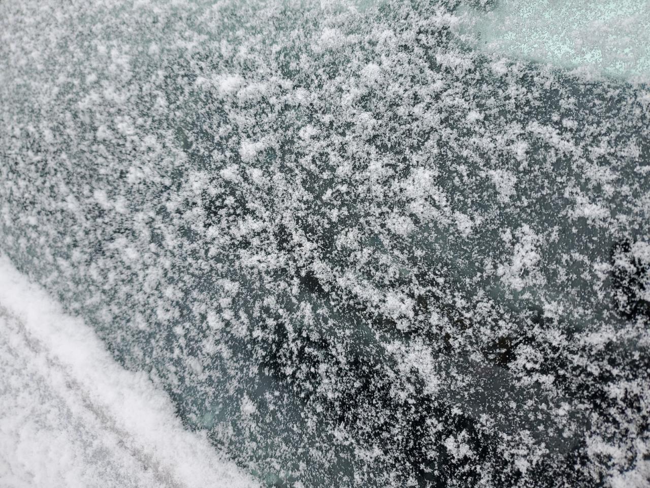 2003 Honda Accord Ex VIN: 1HGCM56693A811032 Lot: 91980395