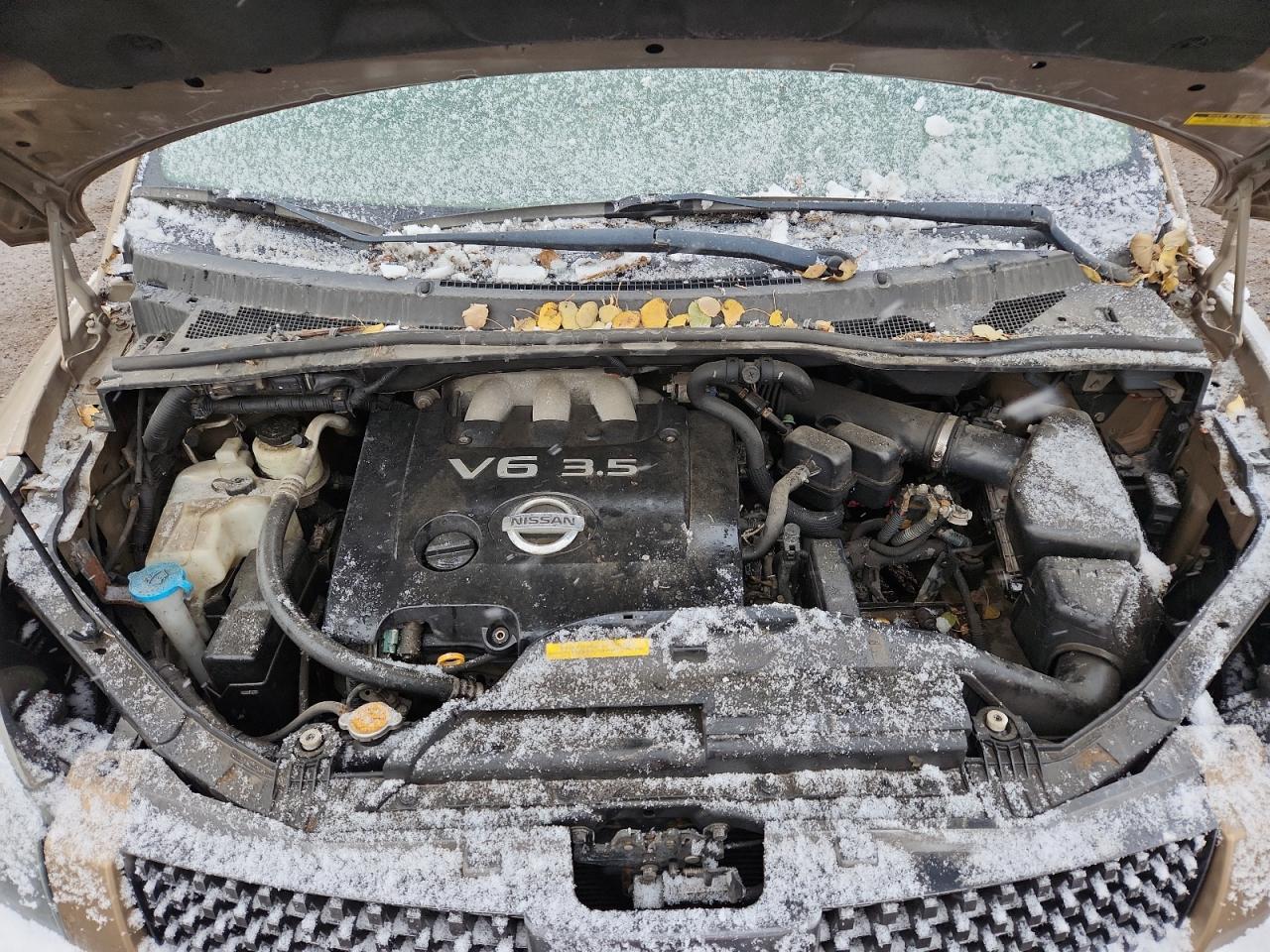 2004 Nissan Quest S VIN: 5N1BV28U24N339036 Lot: 93119325