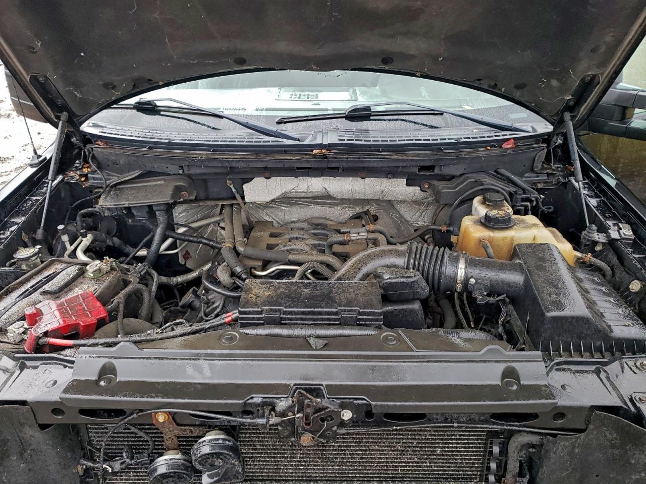 2011 Ford F150 Super Cab VIN: 1FTFX1EF4BFC34456 Lot: 93914655