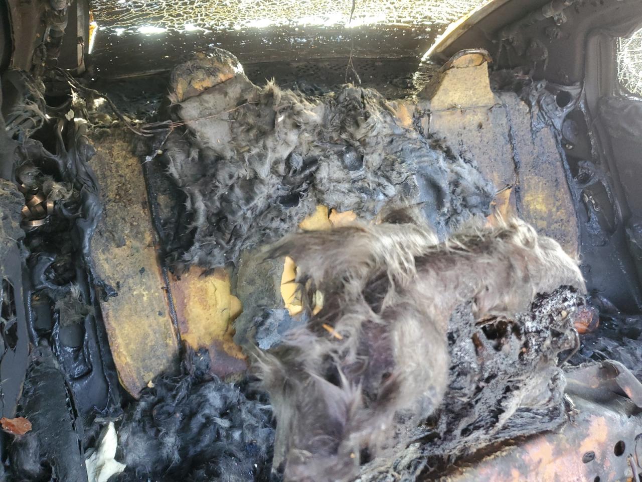 2014 Chrysler 200 Lx VIN: 1C3CCBAB0EN209768 Lot: 93707255