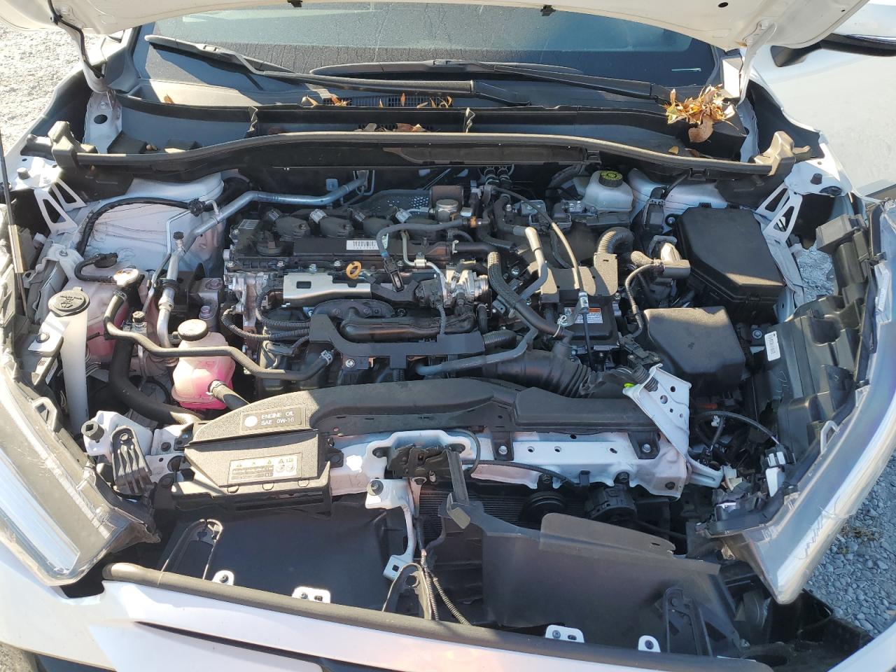 2023 Toyota Corolla Cross Le VIN: 7MUFBABGXPV013520 Lot: 93464785