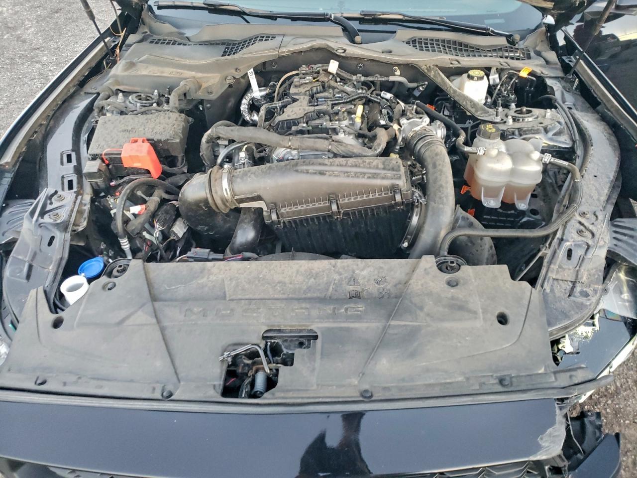 2024 Ford Mustang VIN: 1FAGP8UH1R5113339 Lot: 94495635