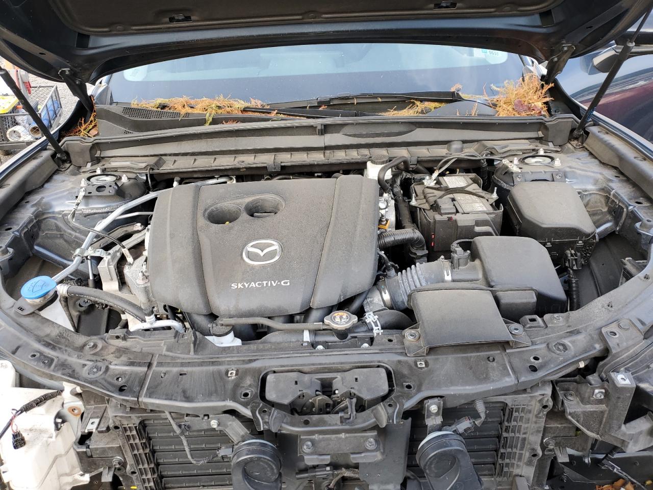 2024 Mazda Cx-50 Select VIN: 7MMVABAM1RN165149 Lot: 90327765