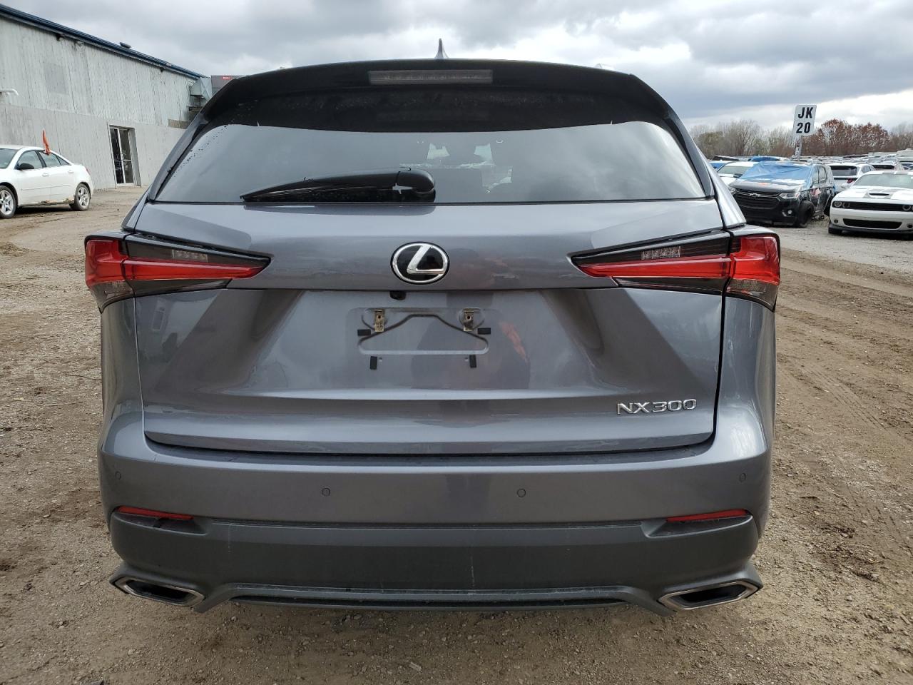 2020 Lexus Nx 300 VIN: JTJDARDZ0L2231515 Lot: 91866535