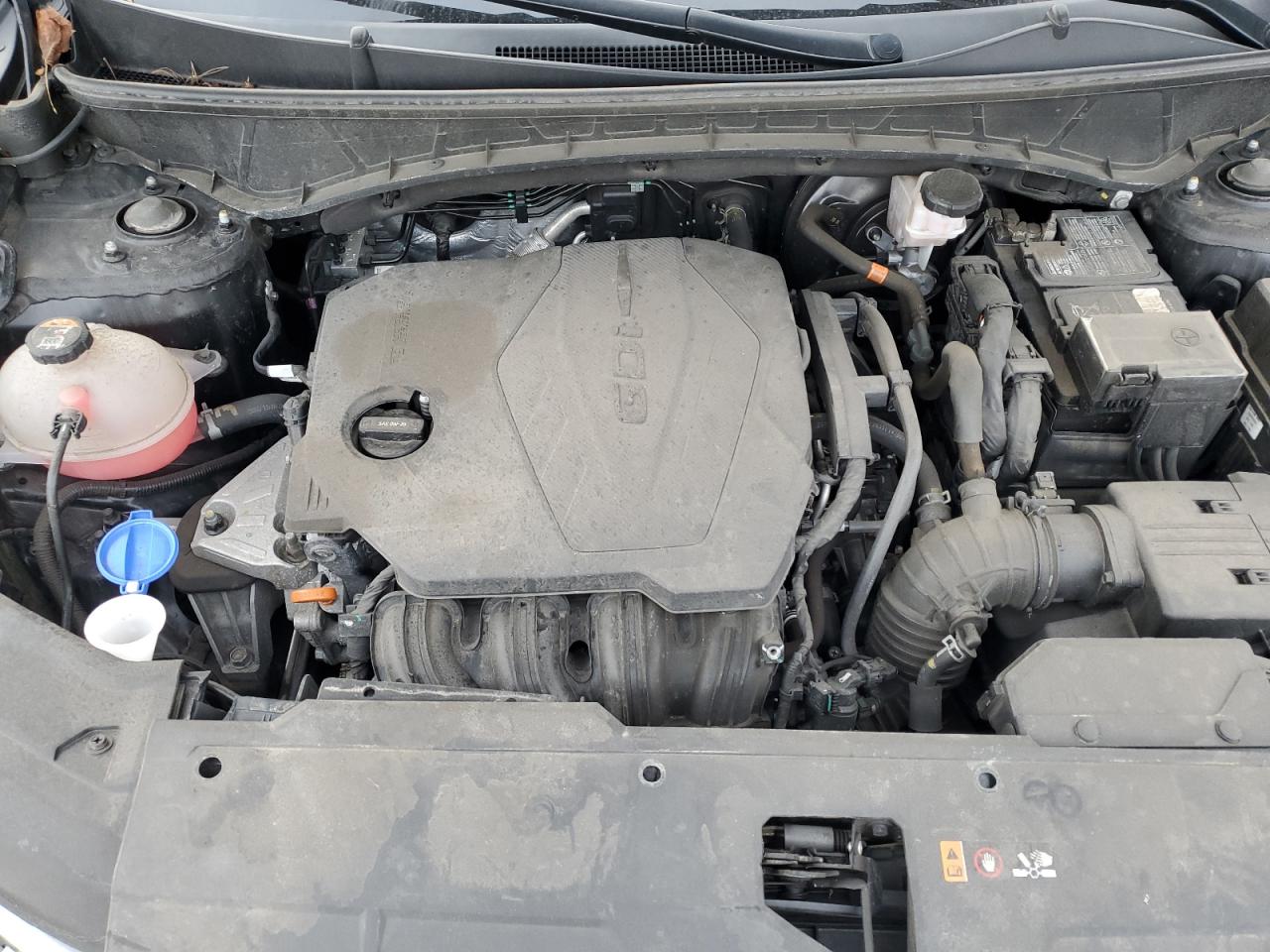 2024 Hyundai Tucson Sel VIN: 5NMJBCDE3RH306564 Lot: 91898755