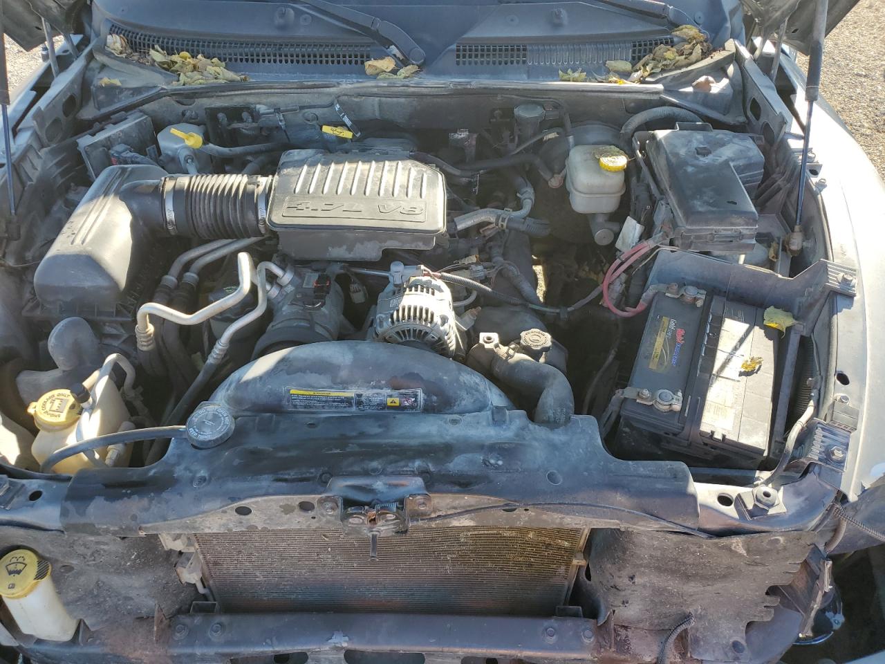 2007 Dodge Dakota Quad Slt VIN: 1D7HW48P67S163931 Lot: 92477675