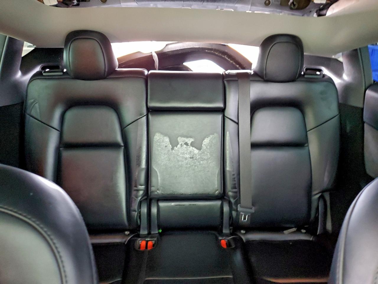 2024 Tesla Model Y VIN: 7SAYGDED3RF088559 Lot: 93643625