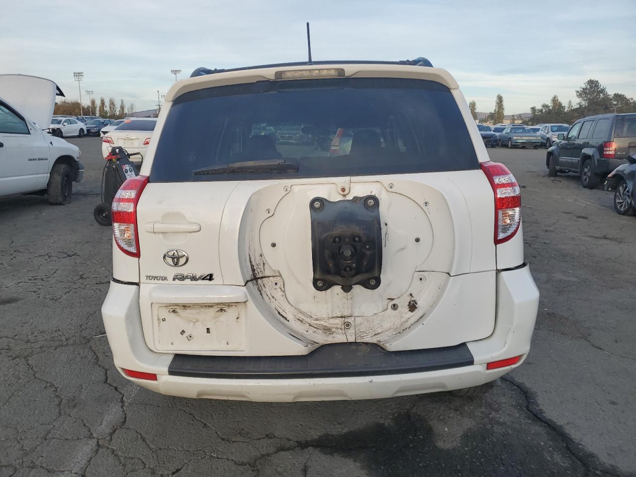 2009 Toyota Rav4 VIN: JTMZF33V39D010610 Lot: 92251455