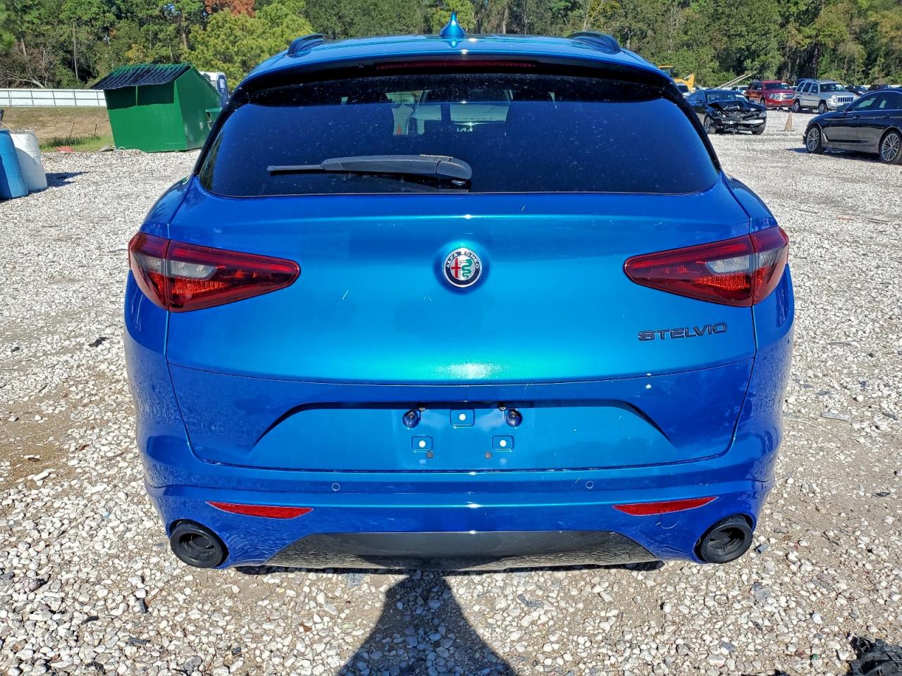 2020 Alfa Romeo Stelvio VIN: ZASPAJAN8L7C75615 Lot: 94120275