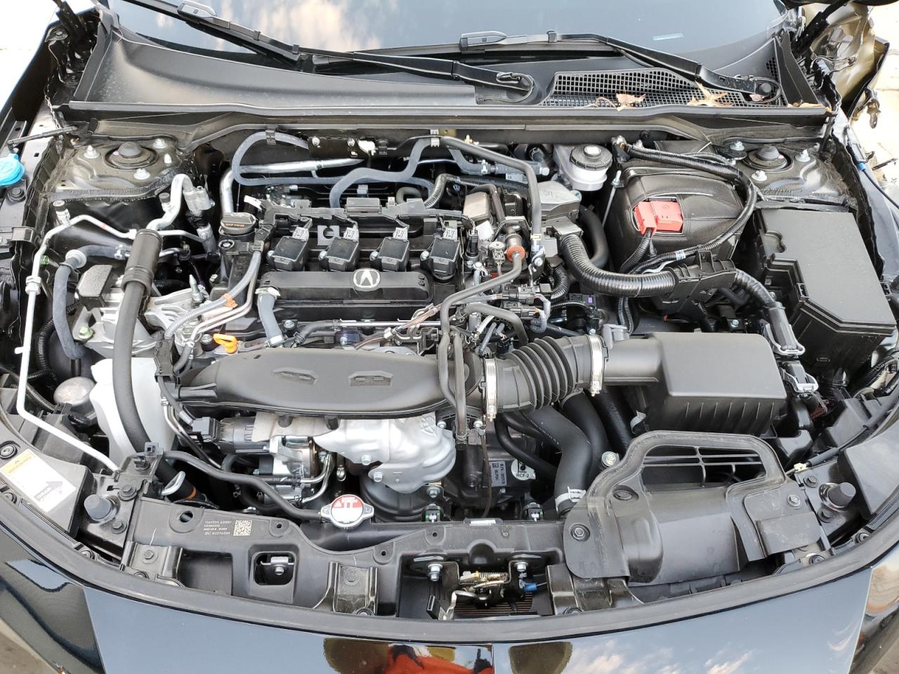 Фото: 19UDE4H66SA012817