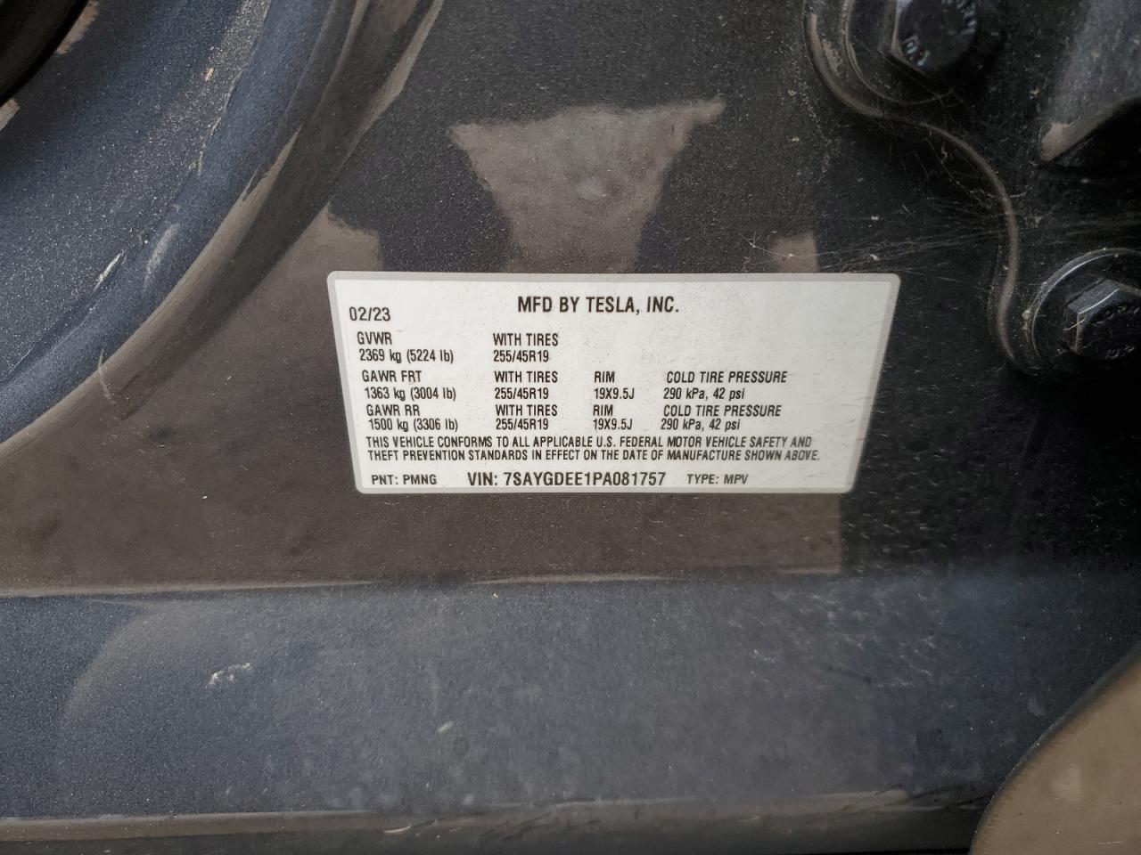 2023 Tesla Model Y VIN: 7SAYGDEE1PA081757 Lot: 93755495