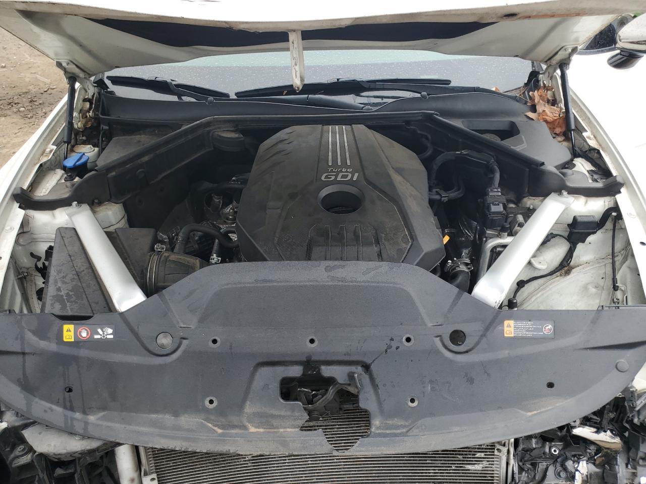 2020 Kia Stinger VIN: KNAE15LA4L6084312 Lot: 93287795