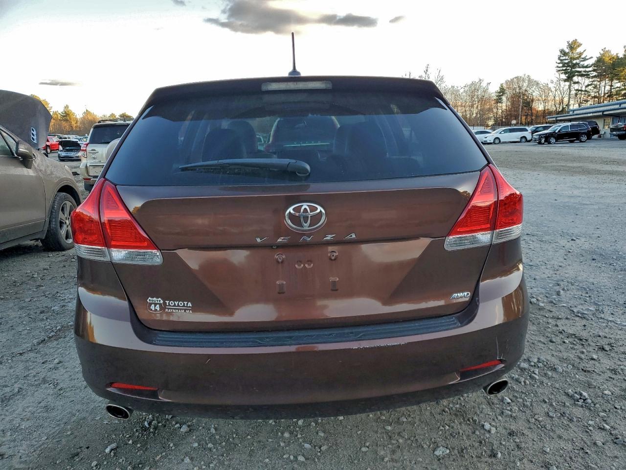 2009 Toyota Venza VIN: 4T3BK11A69U019841 Lot: 94224135