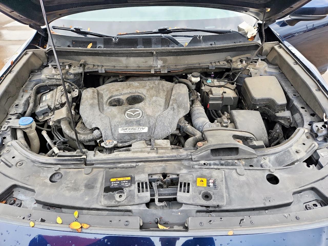 2016 Mazda Cx-9 Touring VIN: JM3TCBBYXG0115824 Lot: 93928735