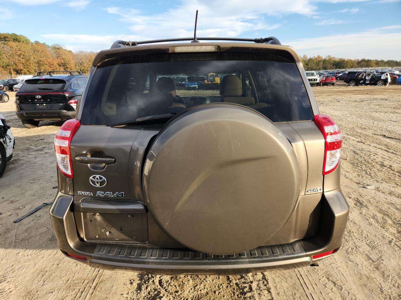 2010 Toyota Rav4 VIN: 2T3BF4DV8AW064448 Lot: 91731935