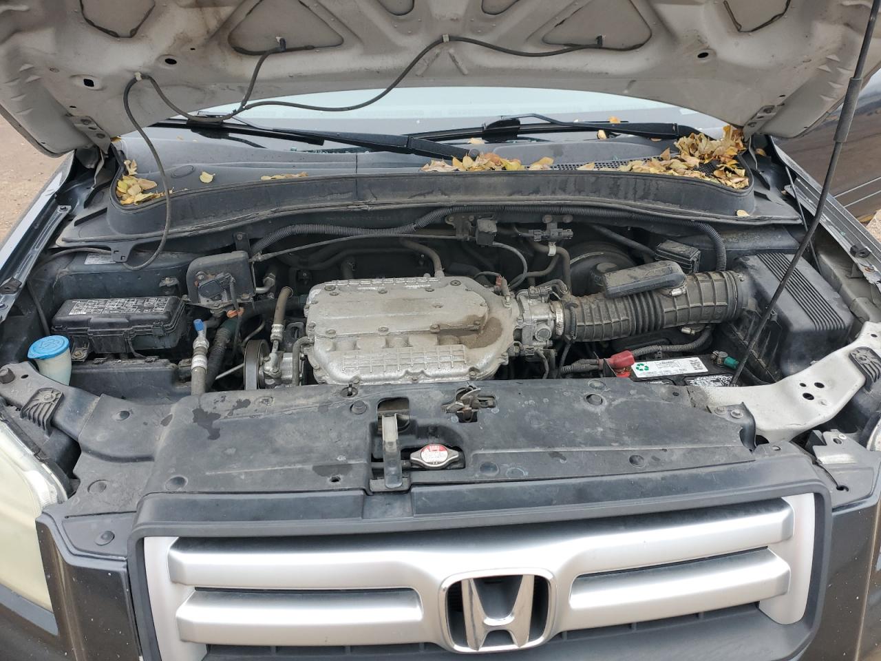 2006 Honda Pilot Ex VIN: 2HKYF18686H516263 Lot: 93949215