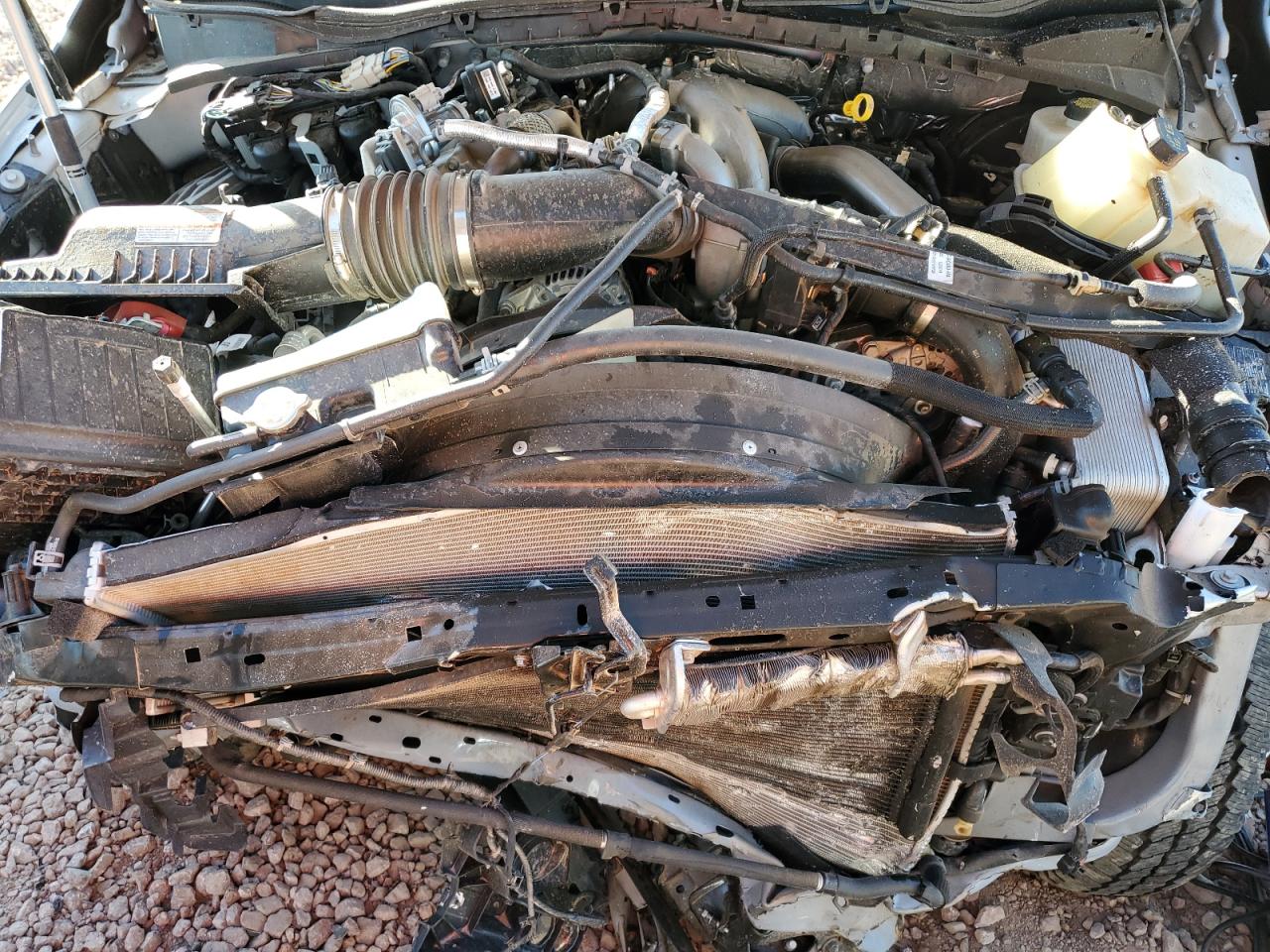 2025 Ford F250 Super Duty VIN: 1FT8W2BT5SEC79049 Lot: 90885415