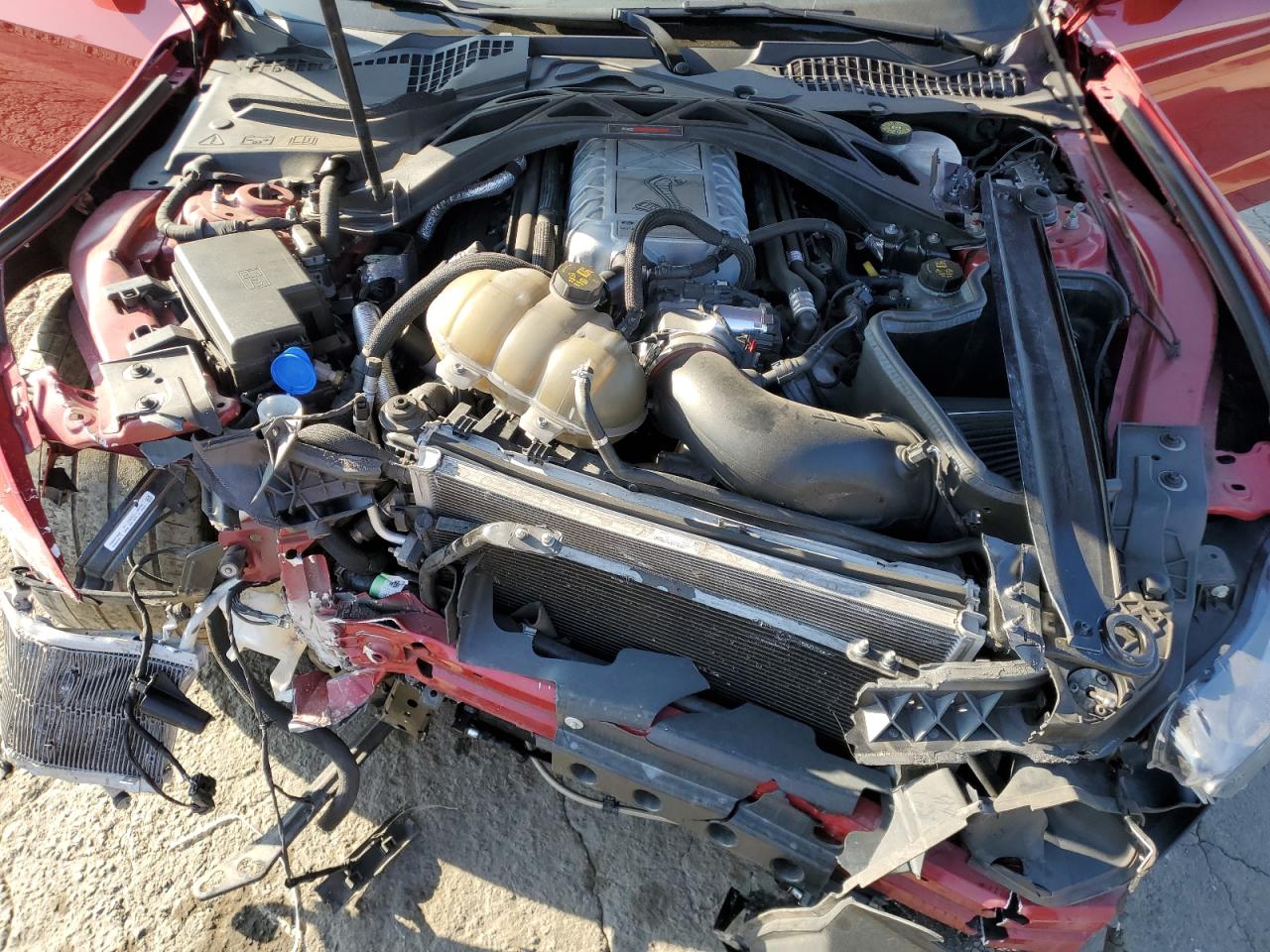 2020 Ford Mustang Shelby Gt500 VIN: 1FA6P8SJ4L5504736 Lot: 91557785