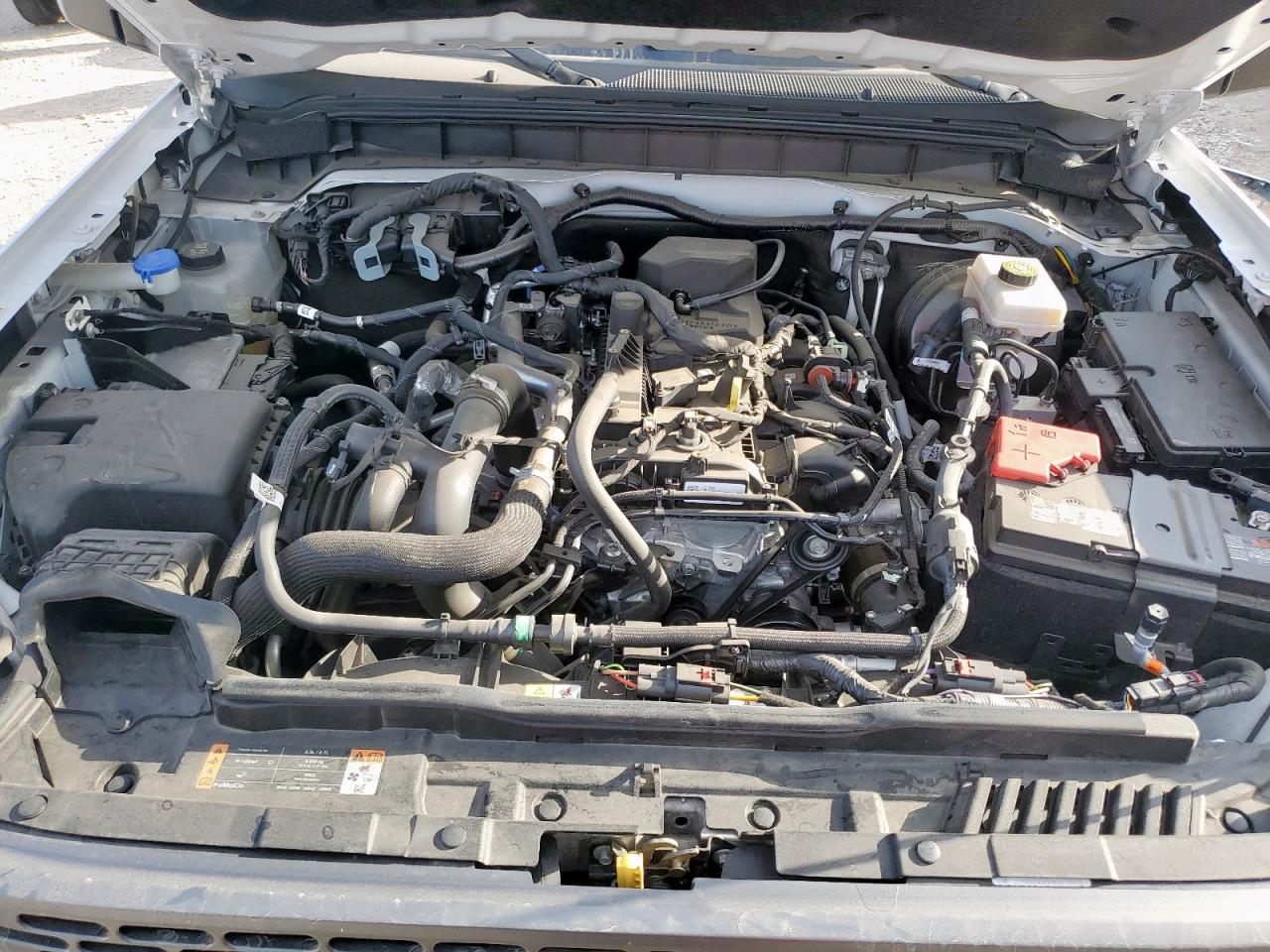 2024 Ford Bronco Big Bend VIN: 1FMDE7BHXRLA43167 Lot: 93279925