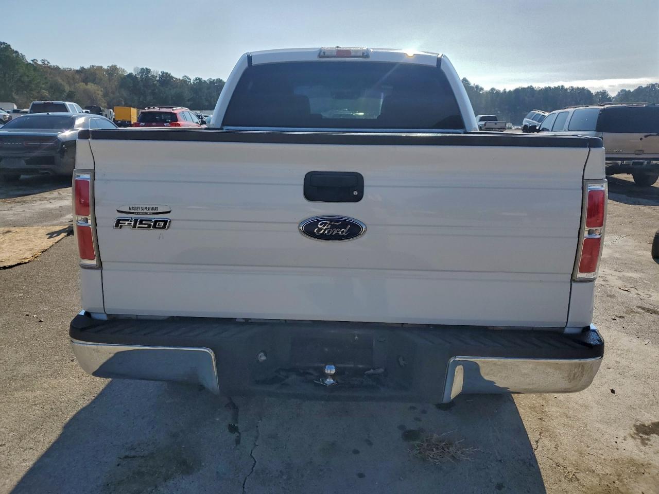 2010 Ford F150 Supercrew VIN: 1FTEW1E8XAFB98707 Lot: 92225875