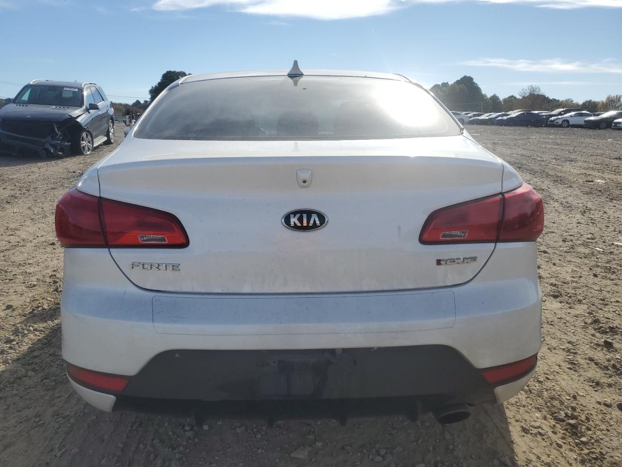 2014 Kia Forte Ex VIN: KNAFX6A8XE5230620 Lot: 91938975