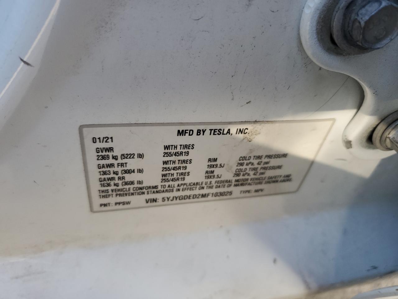 2021 Tesla Model Y VIN: 5YJYGDED2MF103025 Lot: 92748215