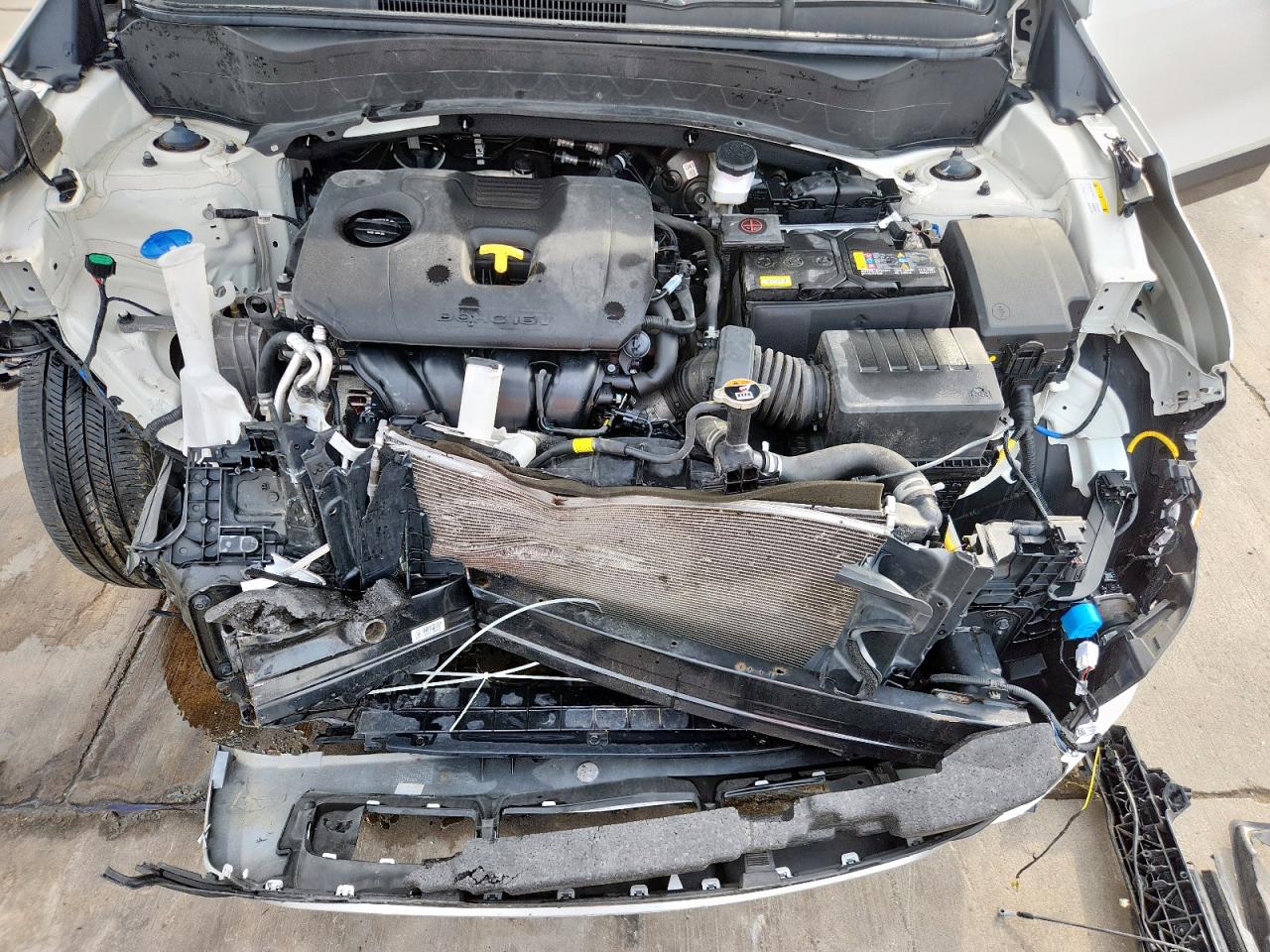 2023 Kia Seltos S VIN: KNDEUCAA3P7395019 Lot: 93449215