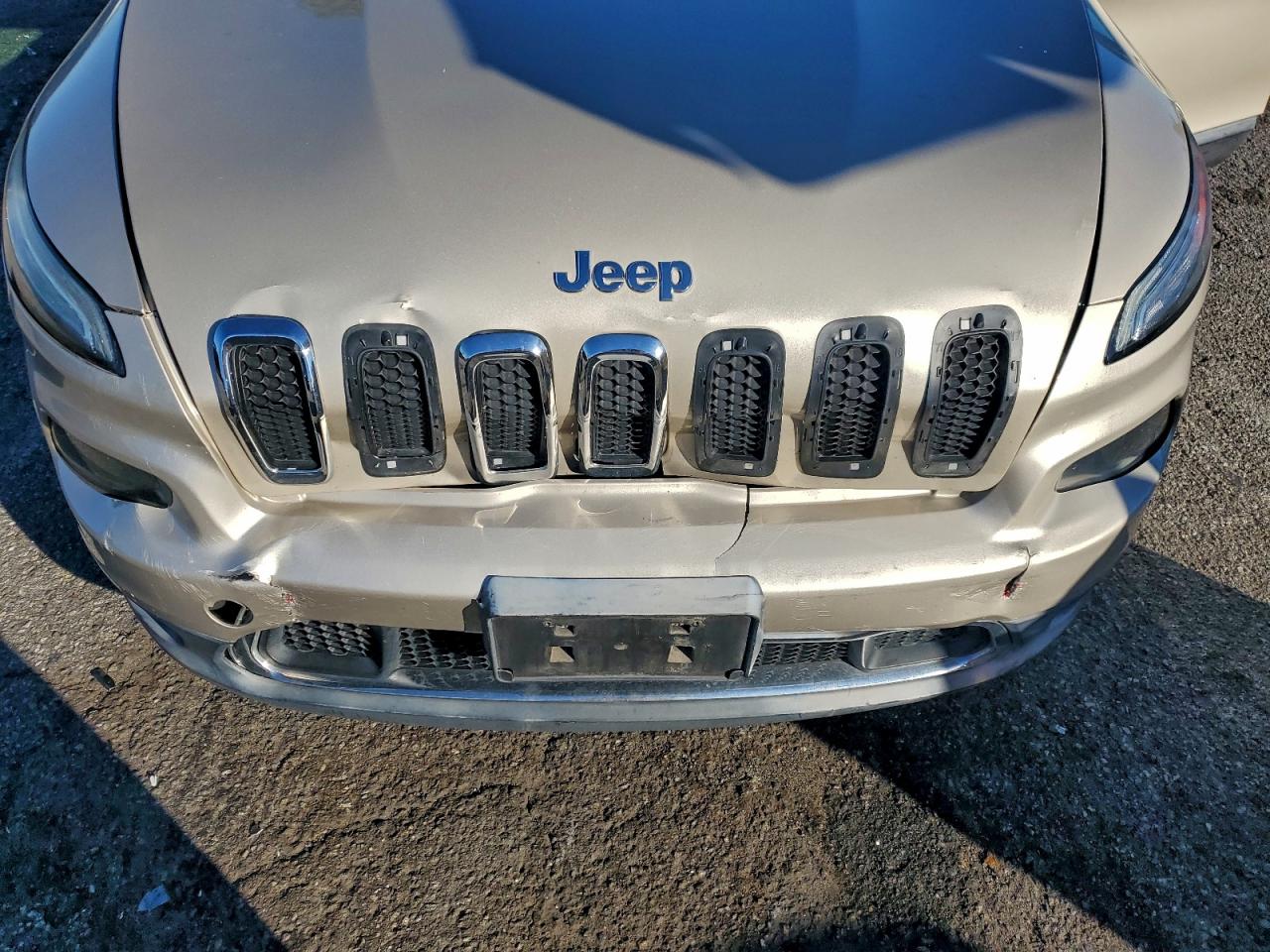 2014 Jeep Cherokee Limited VIN: 1C4PJLDB4EW314585 Lot: 94769495