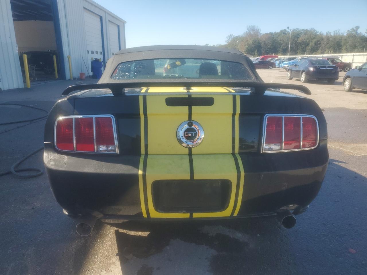 2008 Ford Mustang Gt VIN: 1ZVHT85H185103379 Lot: 91039645