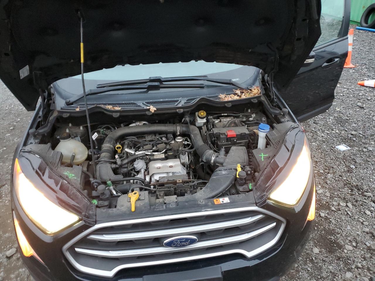 2019 Ford Ecosport Se VIN: MAJ3S2GEXKC304318 Lot: 92704705