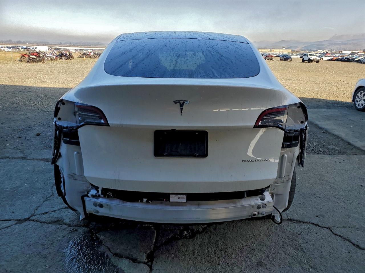 2022 Tesla Model Y VIN: 7SAYGDEEXNF488427 Lot: 93962175