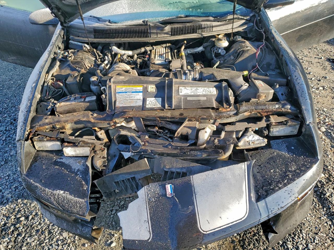 1997 Chevrolet Camaro Z28 VIN: 2G1FP22P2V2113779 Lot: 93835335