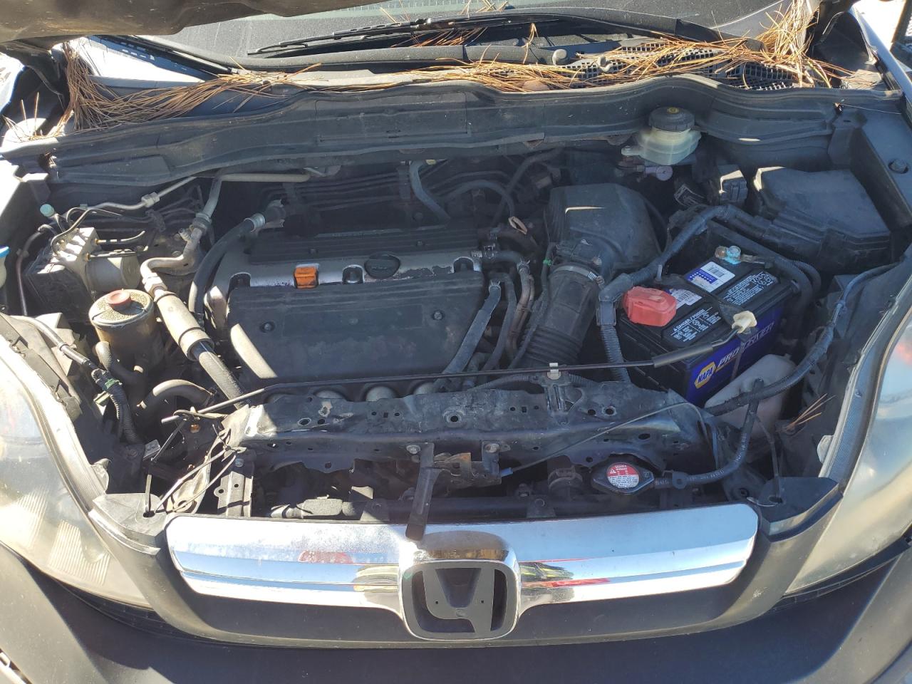 2008 Honda Cr-V Exl VIN: JHLRE38728C057180 Lot: 92575985