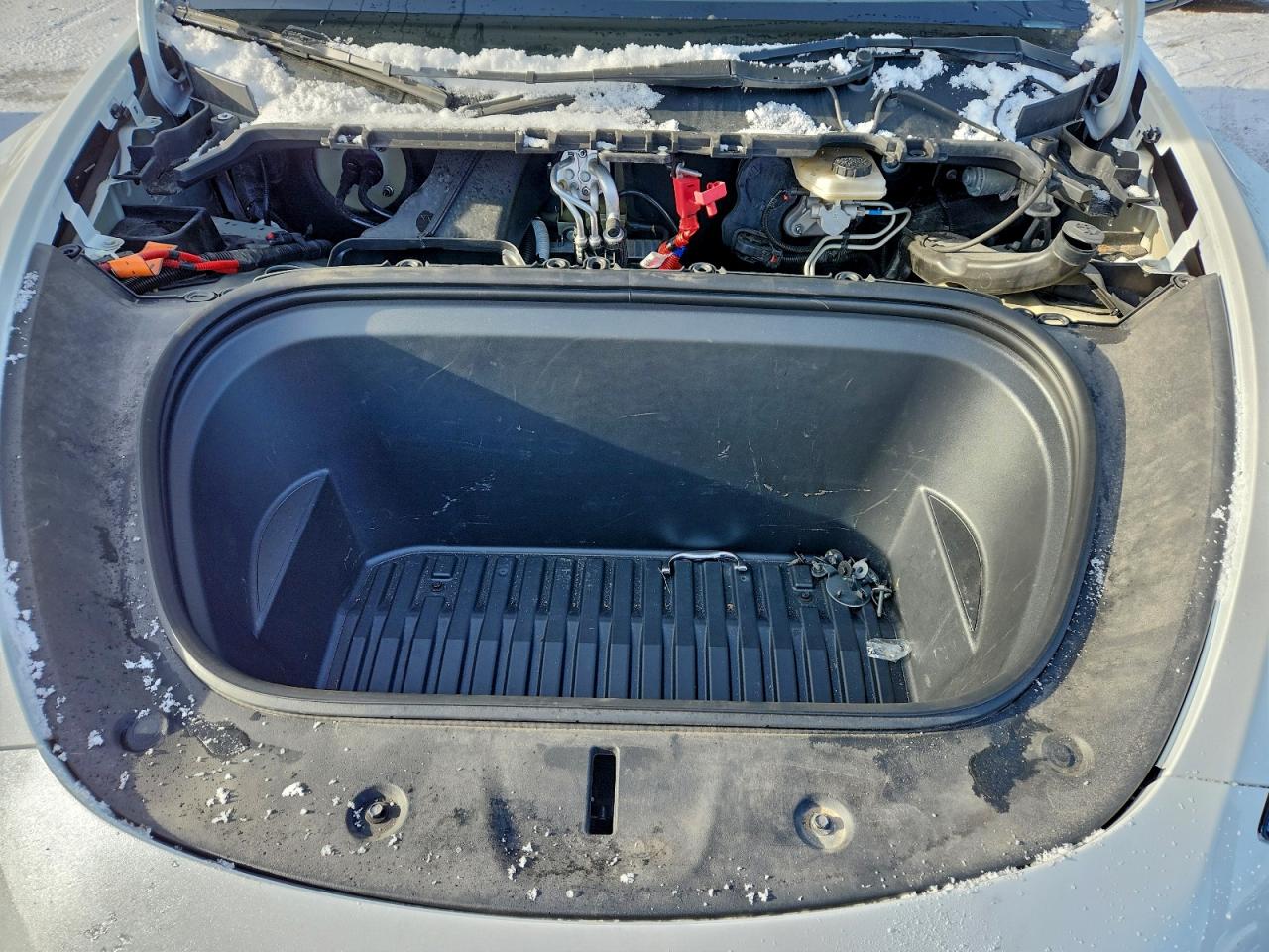 2023 Tesla Model Y VIN: 7SAYGDEE4PF772879 Lot: 92074025