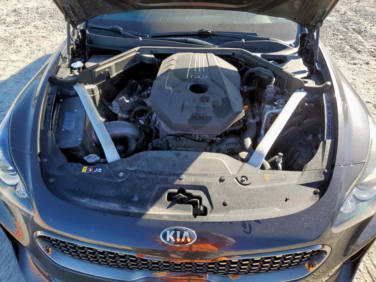 2020 Kia Stinger VIN: KNAE15LA5L6081189 Lot: 92525995