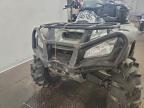 2006 HOND TRX680FA FOURTRAX RI for sale at Copart MN - MINNEAPOLIS NORTH