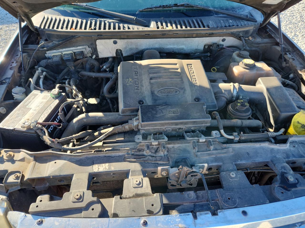 2007 Ford Expedition Eddie Bauer VIN: 1FMFU17507LA52559 Lot: 93095075