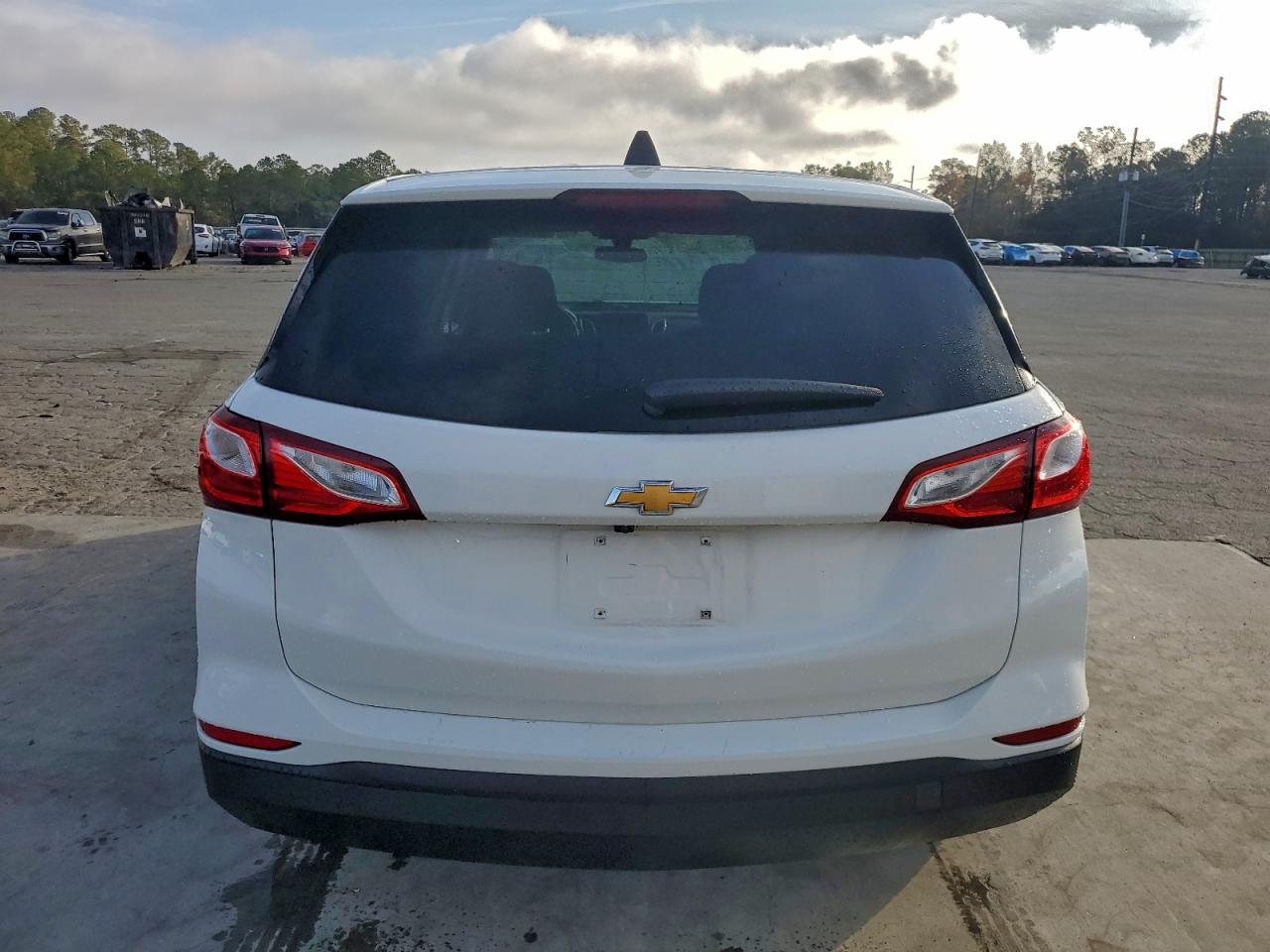 2019 Chevrolet Equinox Ls VIN: 3GNAXHEV8KS614168 Lot: 94535535