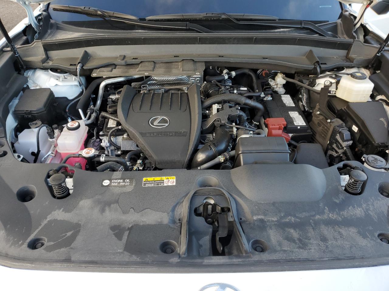 2024 Lexus Tx 350 Base VIN: 5TDAAAB66RS009904 Lot: 91177535