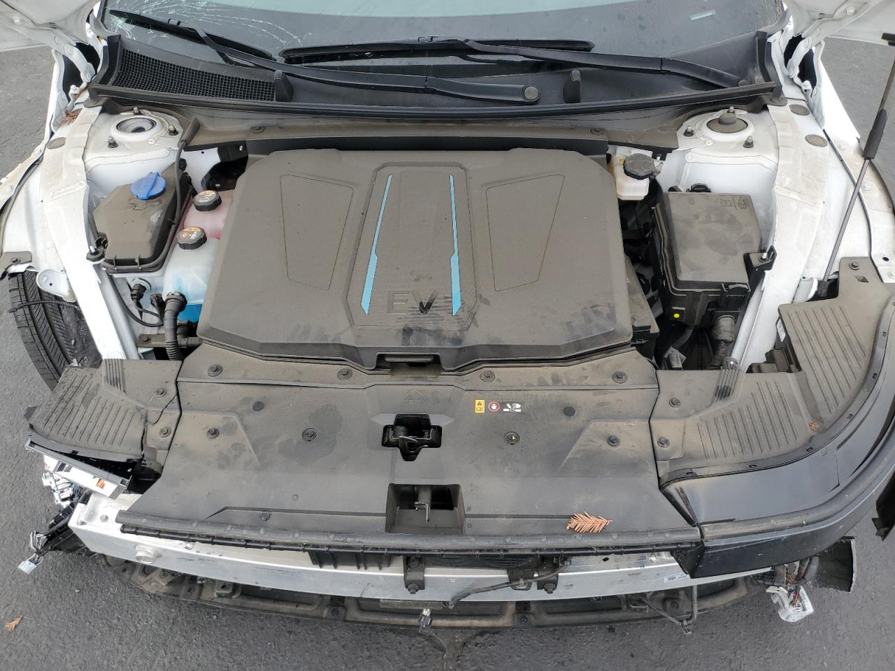 2024 Hyundai Ioniq 5 Sel VIN: KM8KN4DE6RU286008 Lot: 91619225