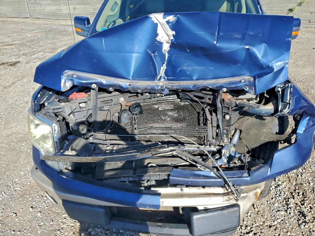 2010 Ford F150 Supercrew VIN: 1FTFW1CV7AFC07456 Lot: 94089875