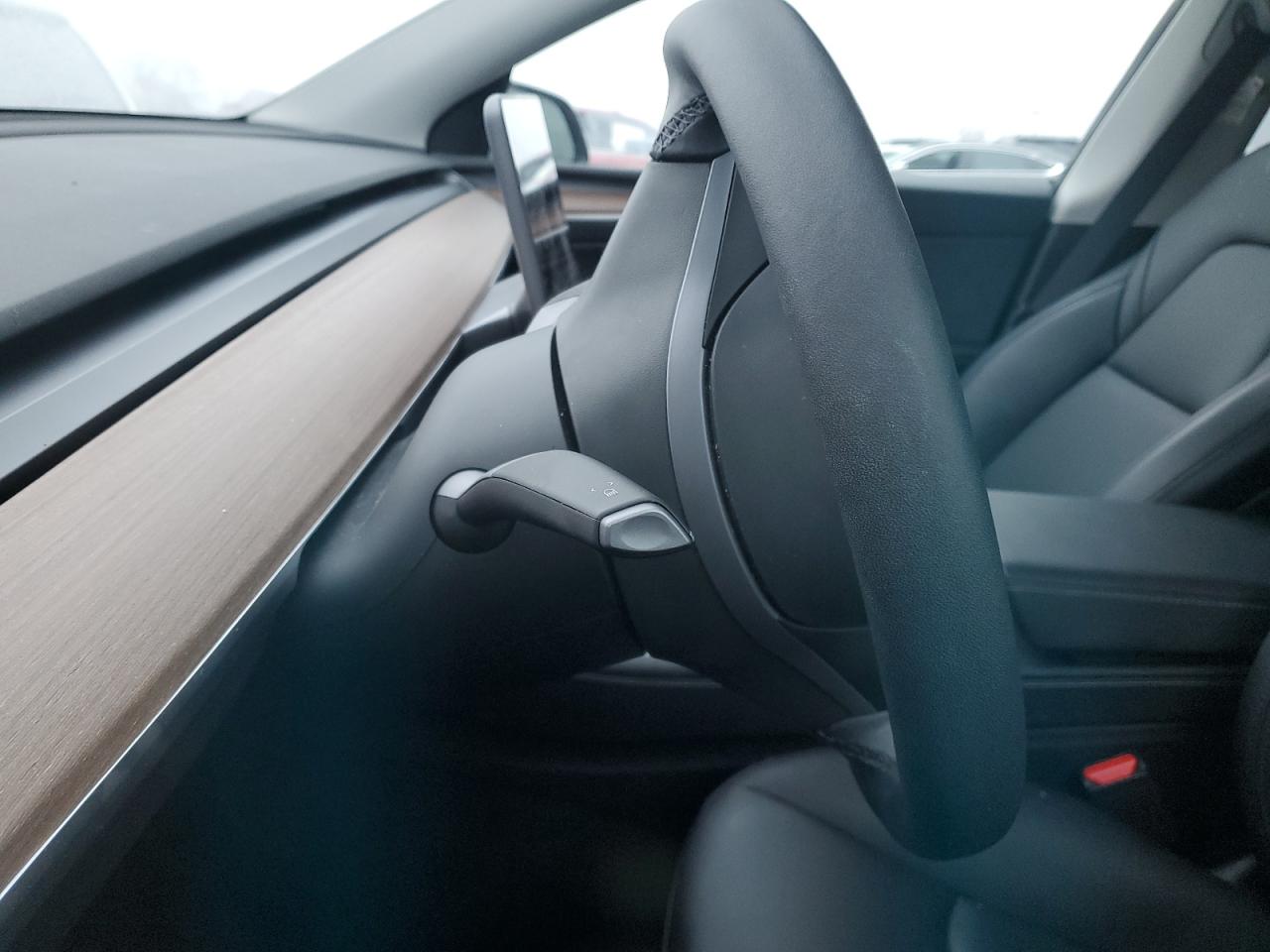 2024 Tesla Model Y VIN: 7SAYGDEEXRF196136 Lot: 92309945