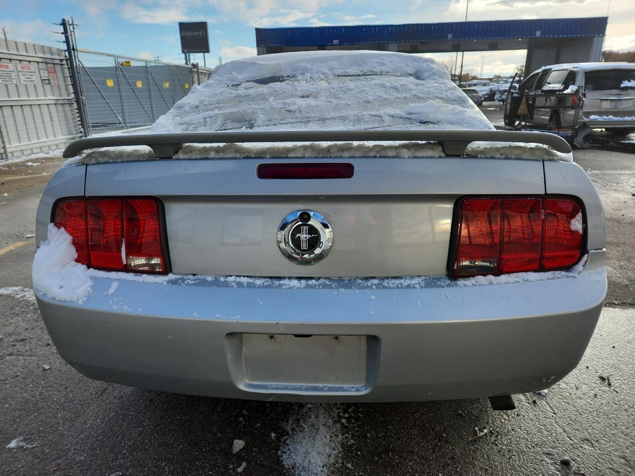 2006 Ford Mustang VIN: 1ZVFT80N565183531 Lot: 91849545