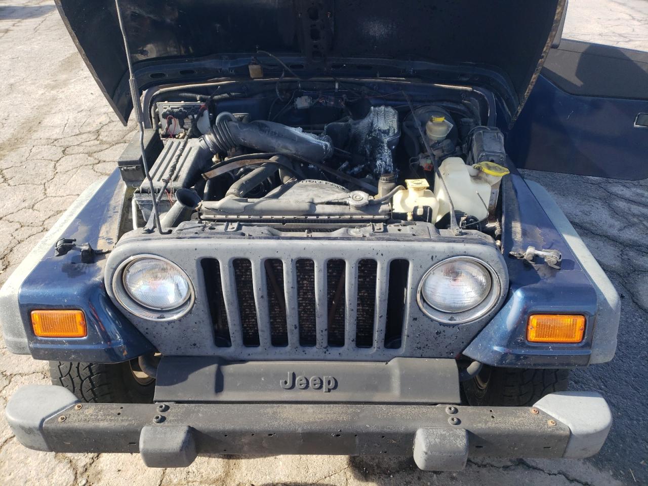 2000 Jeep Wrangler / Tj Se VIN: 1J4FA29P8YP803896 Lot: 90985115